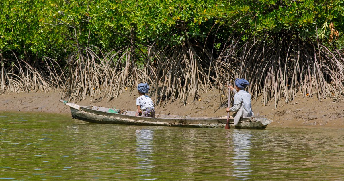 Communities Combat Climate Change And Improve Their Lives Through ...